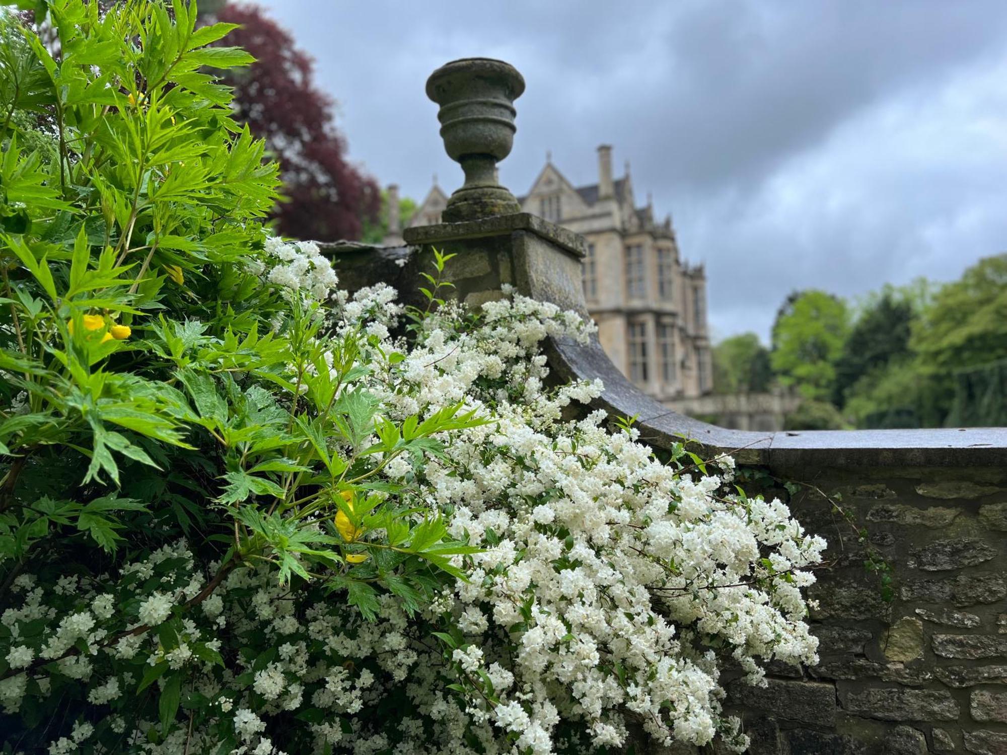 The Hall - Historic Grade I-Listed Jacobean Mansion Bradford-On-Avon Zewnętrze zdjęcie
